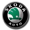 Покраска дисков Skoda